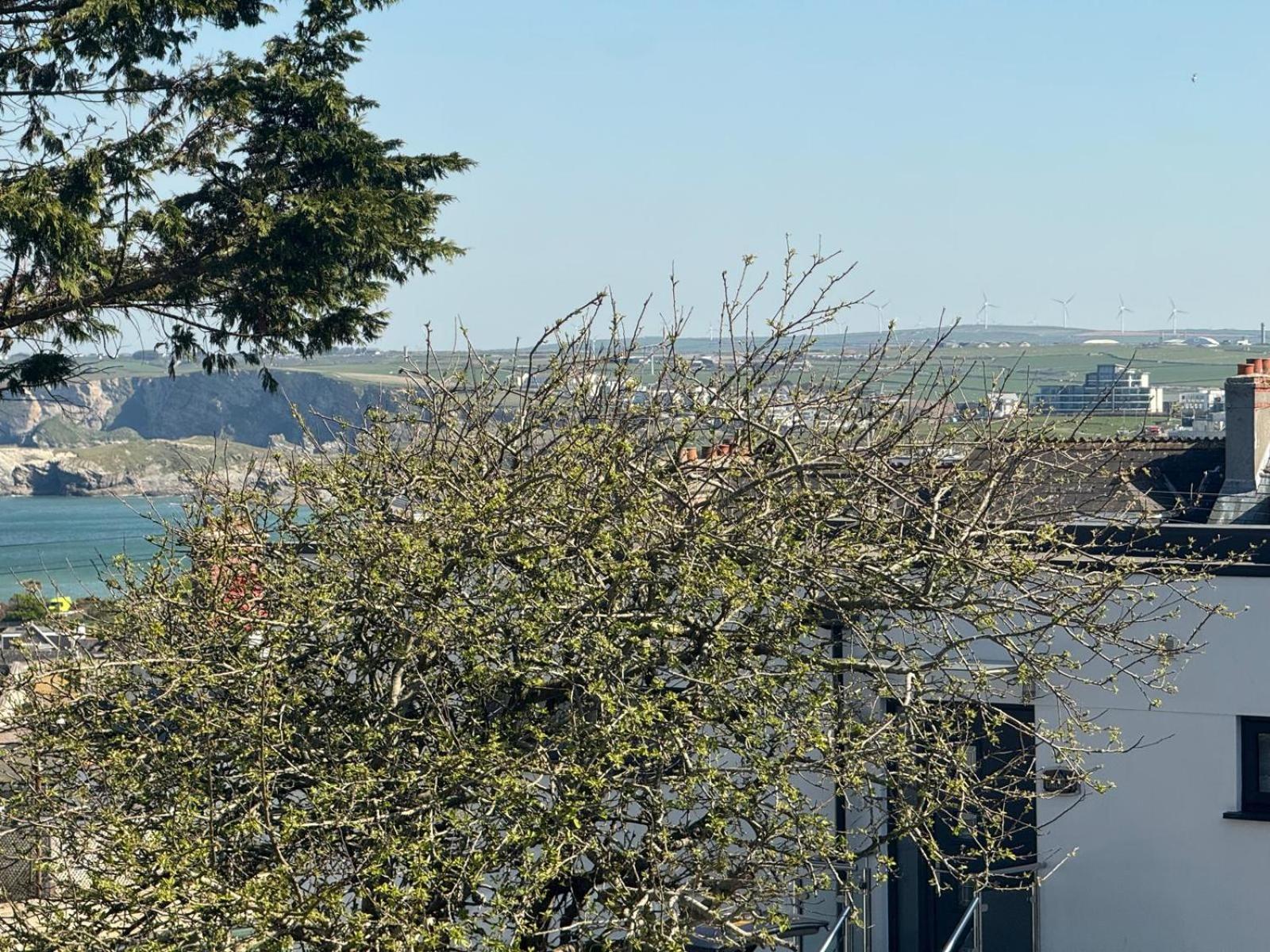 Shore Lodge New Quay Esterno foto